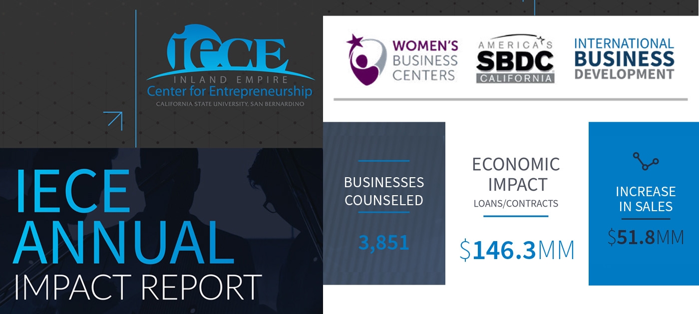 IECE Annual Impact Report